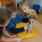 phoca_thumb_m_zajci a zelenina 32 Fotogalerie